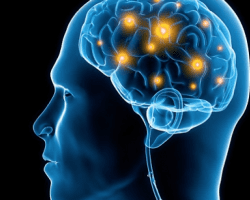 cerebro